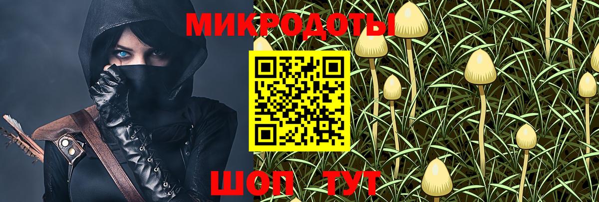 Сухой Лог  Псилоцибиновые грибы Psilocybine cubensis  Вход с VPN  магазин  наркотиков  Псилоцибиновые грибы GOLDEN TEACHER 